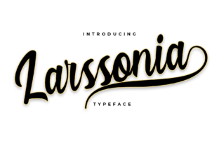 Choosing the Right Font for Your Website: A Real-World Test with Larssonia
